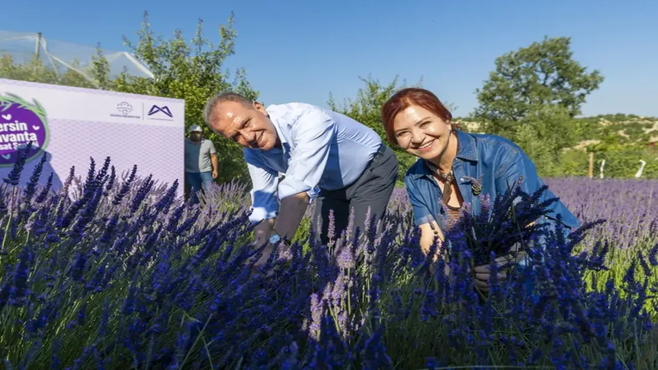 8. Lavanta Hasat Şenliği Silifke'de Coşkuyla Kutlandı