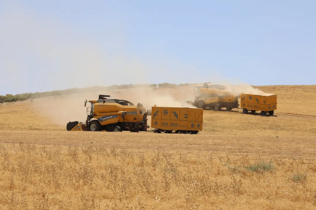 MGK Bildirisi Yayımlandı: Terörle Mücadele, Gazze ve Bölgesel Riskler Masada